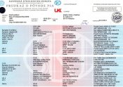 Baldinini-pedigree Baldinini-pedigree