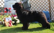 Img_6453baldi-best Img_6453baldi-best
